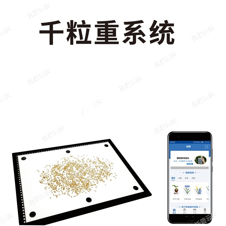 1a15deca63d7de8aeaa632e9fa332272_1724132340206151.jpg