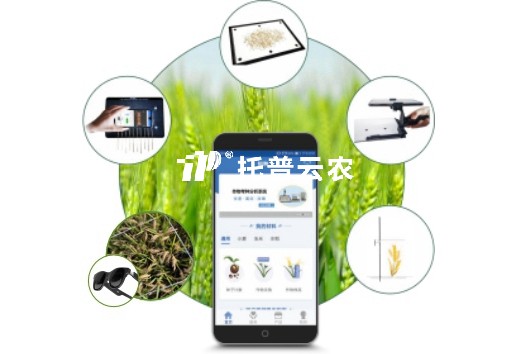 小麥表型檢測(cè)系統(tǒng)
